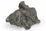 Pica Glass ( grams) - Meteorite Impactite From Chile #224425-1
